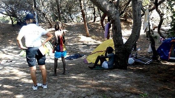 Salento, blitz nella pineta di Torre dell'Orso: un camping abusivo e il deposito per gli ambulanti