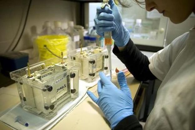 Influenza, ricreata per la prima volta 'la busta' che protegge il virus