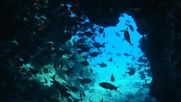 Il calore negli oceani ha raggiunto un nuovo record nel 2025