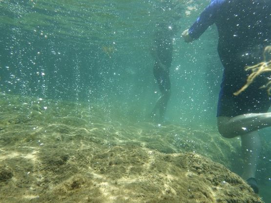  Ischia, il mare non conosce disabilità: immersioni e snorkeling senza barriere