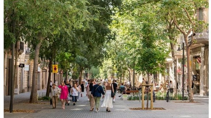 L’urbanista Matteo Dondé: “Su Città 30 Bologna lasciata sola. Dal governo solo tifoseria”