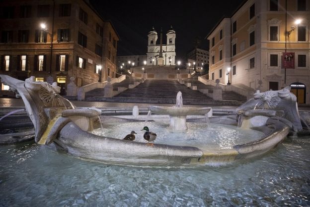 Coronavirus Roma, nella Barcaccia di piazza di Spagna tornano le anatre