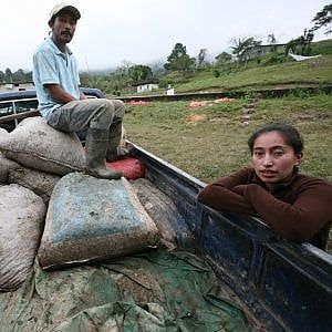 Commercio equo, i piccoli produttori di caffè in allarme dopo l’annuncio dell’ulteriore ribasso del prezzo 