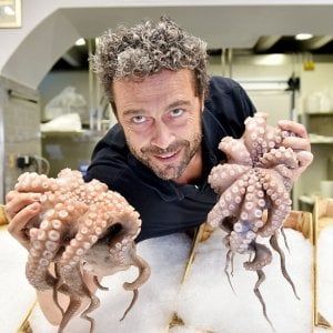 Da Gallina il pesce è quello giusto per l'estate