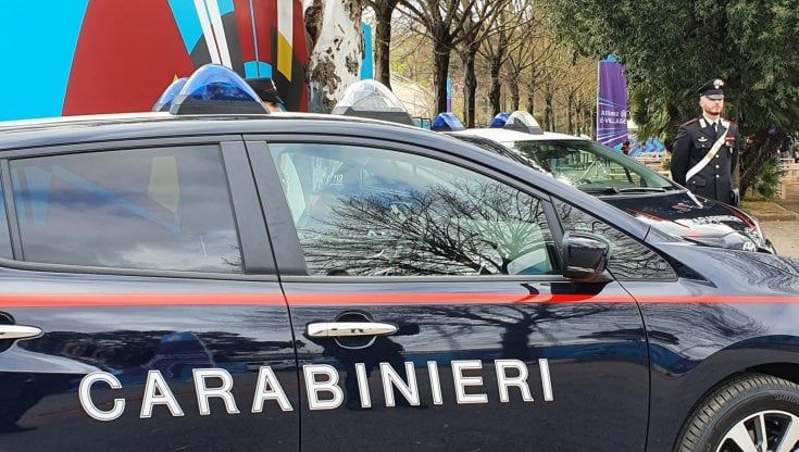 cerco donne bologna