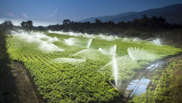 L'acqua in Italia: rubinetti chiusi, condutture bucate
