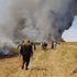 Iraq, migliaia di ettari di raccolti incendiati dall'IS:  grave danno per l’economia