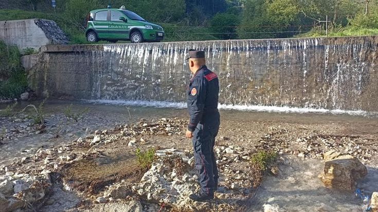 Record di crimini sull’ambiente il dossier dei carabinieri forestali
