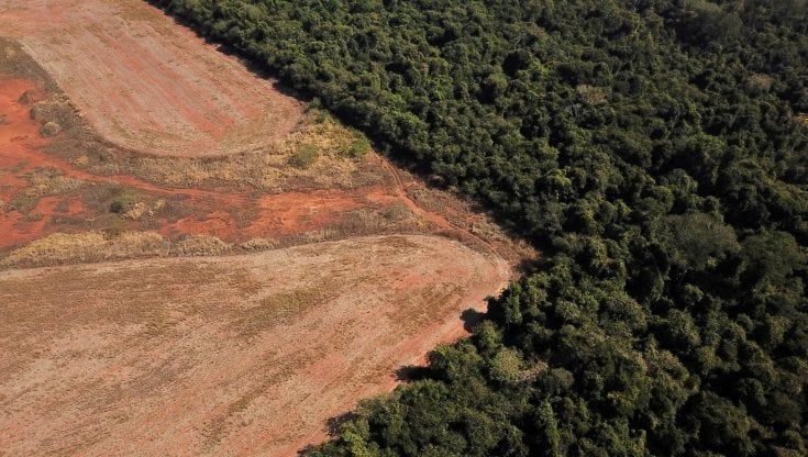 World economic forum, la crisi climatica è il pericolo numero uno per il mondo della finanza