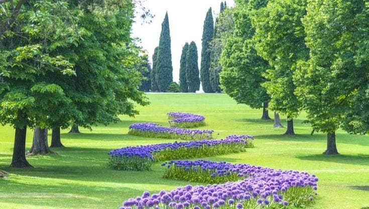 Parco Giardino Sigurtà: cosa vedere tra fioriture e paesaggi senza tempo