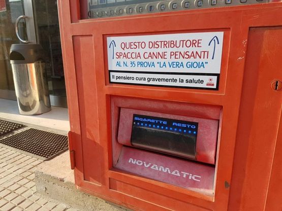 Salento, le 'canne pensanti' che 'spacciano' la filosofia