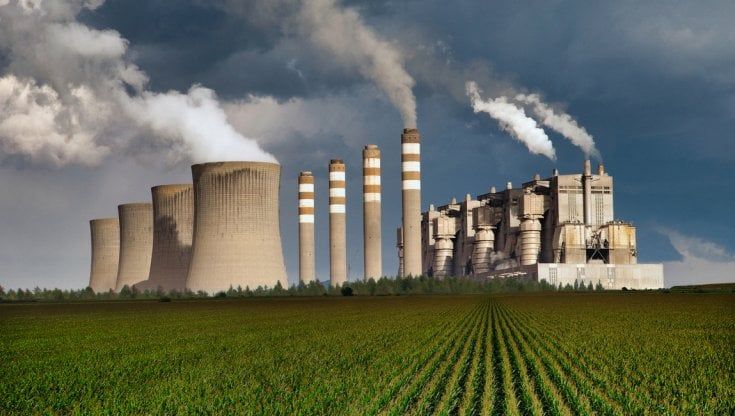 Crediti di biodiversità su modello carbonio: esperti e scienziati al lavoro per trovare un sistema standard