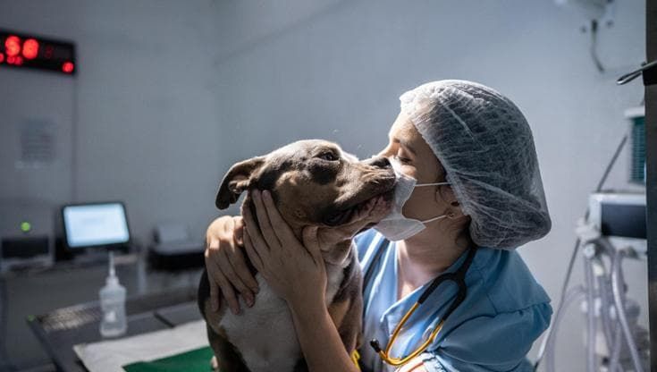 "Finirai sola con i tuoi gatti”. E allora?