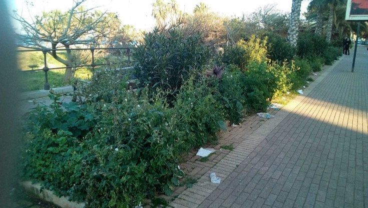 I residenti con il reddito di cittadinanza spazzini del lungomare a Romagnolo 
