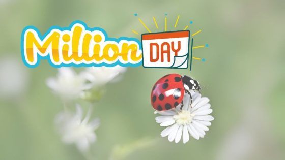 Million Day, l’estrazione delle 20:30 di lunedì 10 agosto