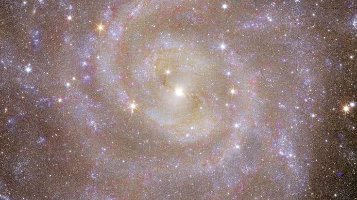 La luce di Euclid sull’universo oscuro. Prime immagini dalla sonda Esa che studia la materia invisibile