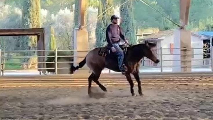 Lo spin