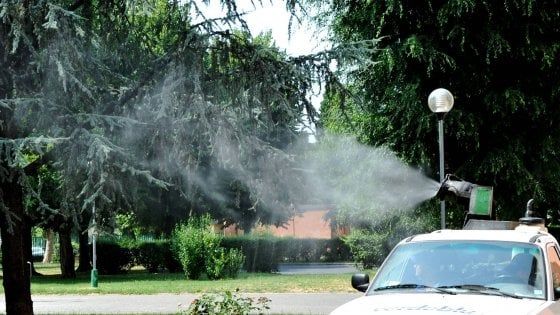Emergenza zanzare, i milanesi protestano con il Comune. L'assessore: "Problemi di appalto, stiamo correndo ai ripari"
