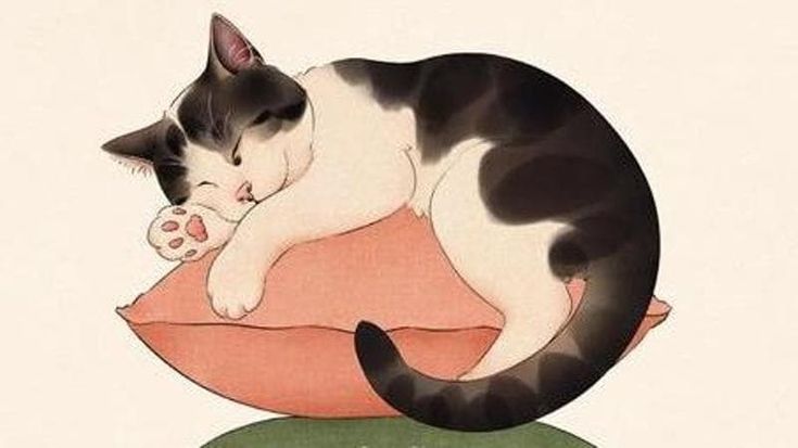 Un gatto al giorno toglie il medico di torno, il libro di Ishida Syou