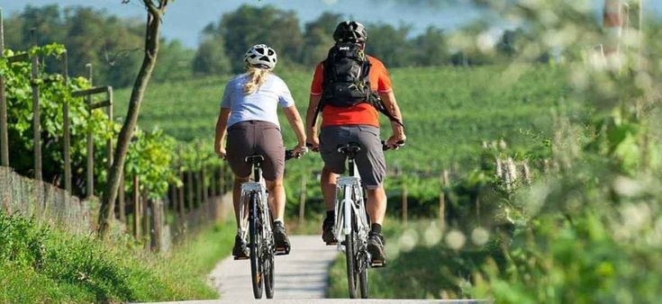 Pedalare tra i vigneti alla scoperta dei tesori del Sannio: al via un percorso di 30 km