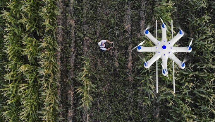 Agritech, in Italia il 64% delle aziende agricole adotta soluzioni 4.0 