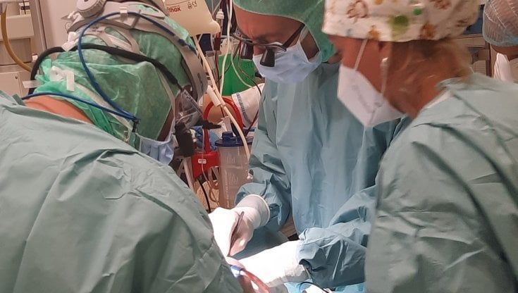  Neonato di Avellino in pericolo vita salvato dai medici del Bambino Gesù
