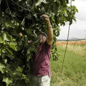 Agricoltori, rivolta<br />contro la burocrazia