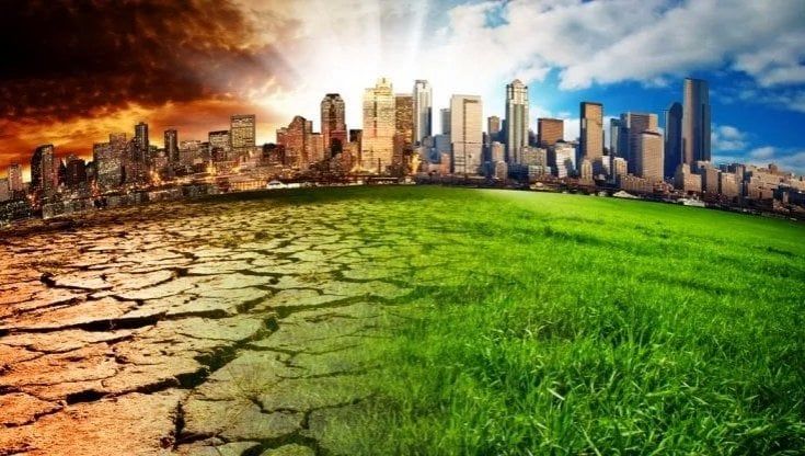 Cibo e cambiamento climatico: non mangiamoci il pianeta