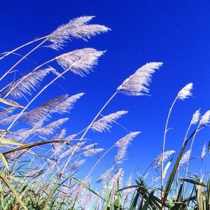 Ecco 101 opere #sbloccafuturo: &egrave; il green new deal per l&rsquo;Italia