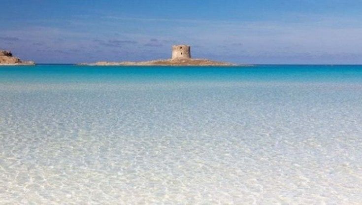 Sardegna, la spiaggia di Stintino torna a numero chiuso: 3,50 euro per entrare e 1.500 persone al giorno