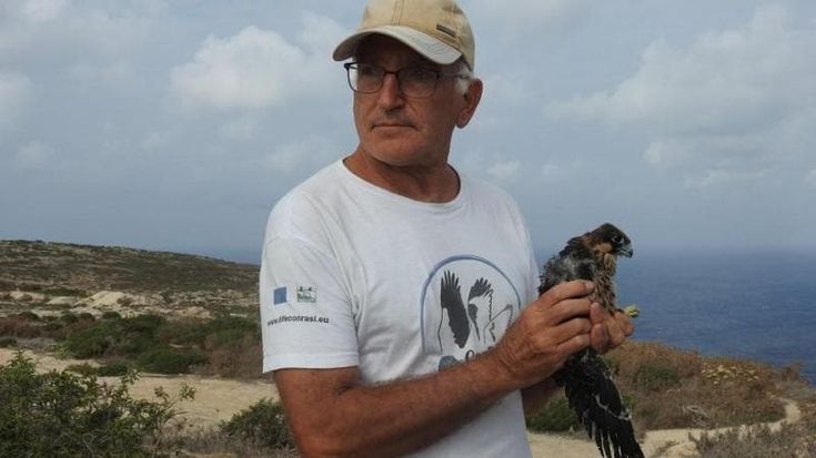 “Il kite surf minaccia gli uccelli dello Stagnone di Marsala”, allarme dall’Università di Palermo