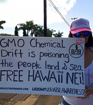 Le Hawaii mettono fuori legge gli Ogm, le multinazionali si ribellano