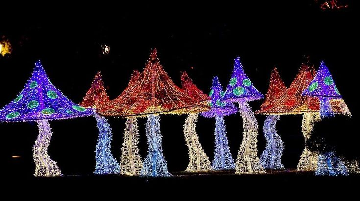 Da Salerno alla Lapponia, si celebra la luce