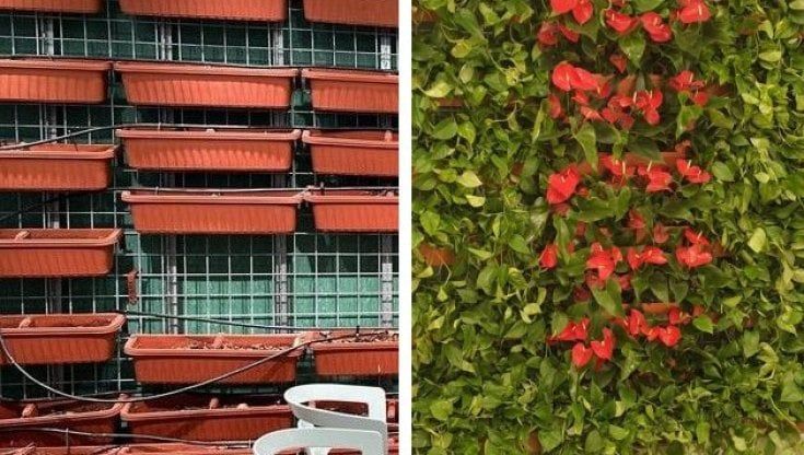 La parete "sfiorita" di Villa Sofia: inaugurato e abbandonato giardino pensile da 20mila euro 
