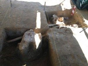 Viterbo, scoperti fornace romana<br />e un elefante del Paleolitico