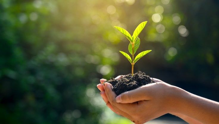 Food, le maggiori aziende italiane quantificano il risparmio del loro impatto ambientale