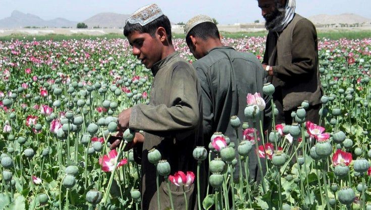 Il grande "buco" dell'Afghanistan: sprecato un terzo dei fondi stanziati