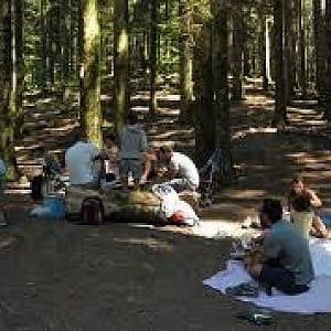 Torino, "Ingressi a pagamento nelle aree attrezzate per il picnic in montagna"