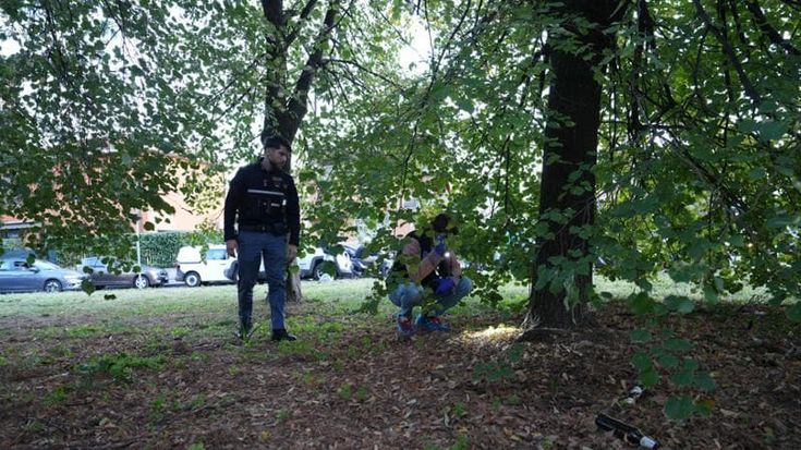 Neonato trovato sotto un albero a Cinisello: era chiuso in una busta con la placenta