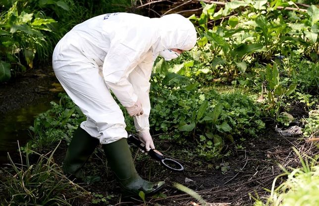 Metaldetector e scientifica per cercare il coltello nel fosso