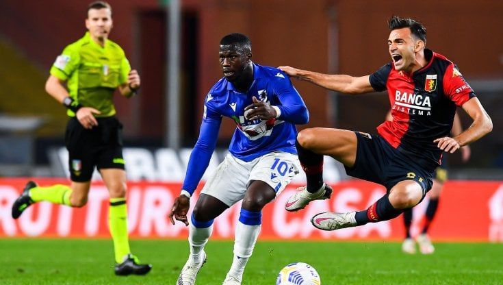 Sampdoria-Genoa 1-1, Scamacca risponde a Jankto
