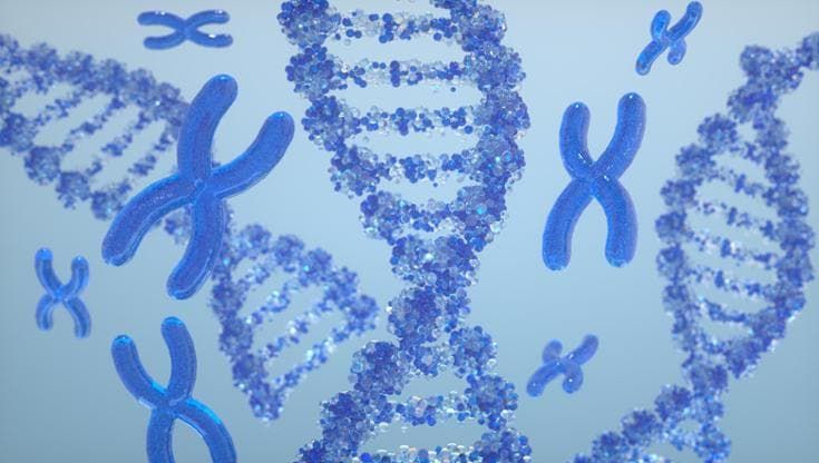 Trapianto di cromosomi, la nuova frontiera della terapia genica
