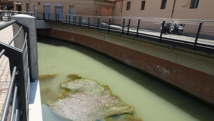 Riva Reno, polemiche per le alghe nel canale scoperto. “Vi spiego perché ci sono”