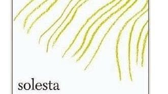 Il vino della Brianza
