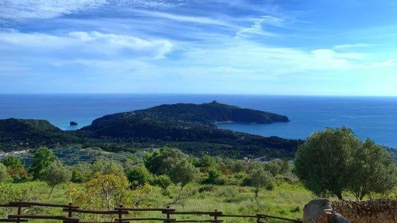 Ti mando una cartolina dal Cilento... 