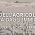 Agricoltura, il made in Italy trainato dagli immigrati. Senza di loro il Nord rischia la paralisi