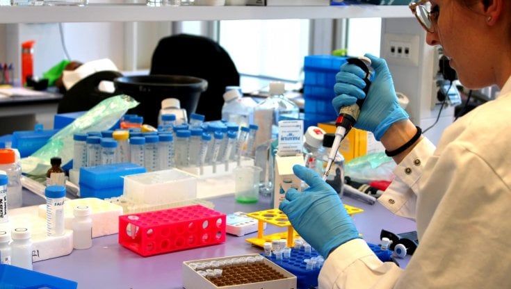 Covid, la sfida sui tamponi. Sindacati e imprese: gratis per i non vaccinati