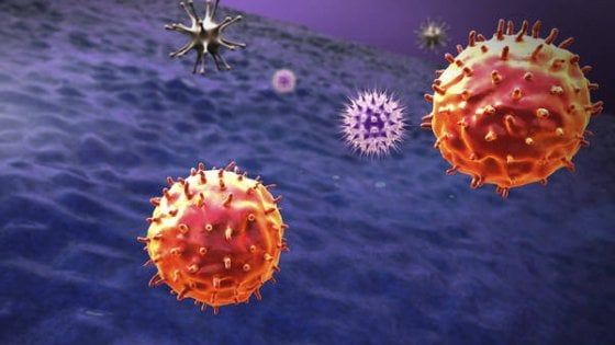 Mieloma multiplo, un cambio di paradigma grazie a nuovi bersagli molecolari 