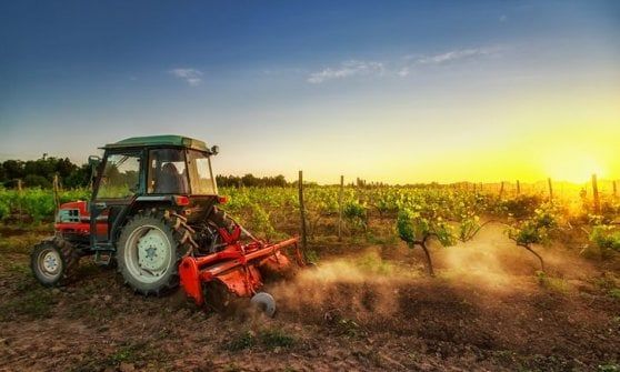 Ue: in arrivo 420 milioni per gli agricoltori italiani
