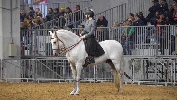 Fieracavalli 125: per la prima volta percorsi separati per gli equini: i visitatori d'accordo con la scelta: "E' per il bene dei cavalli"